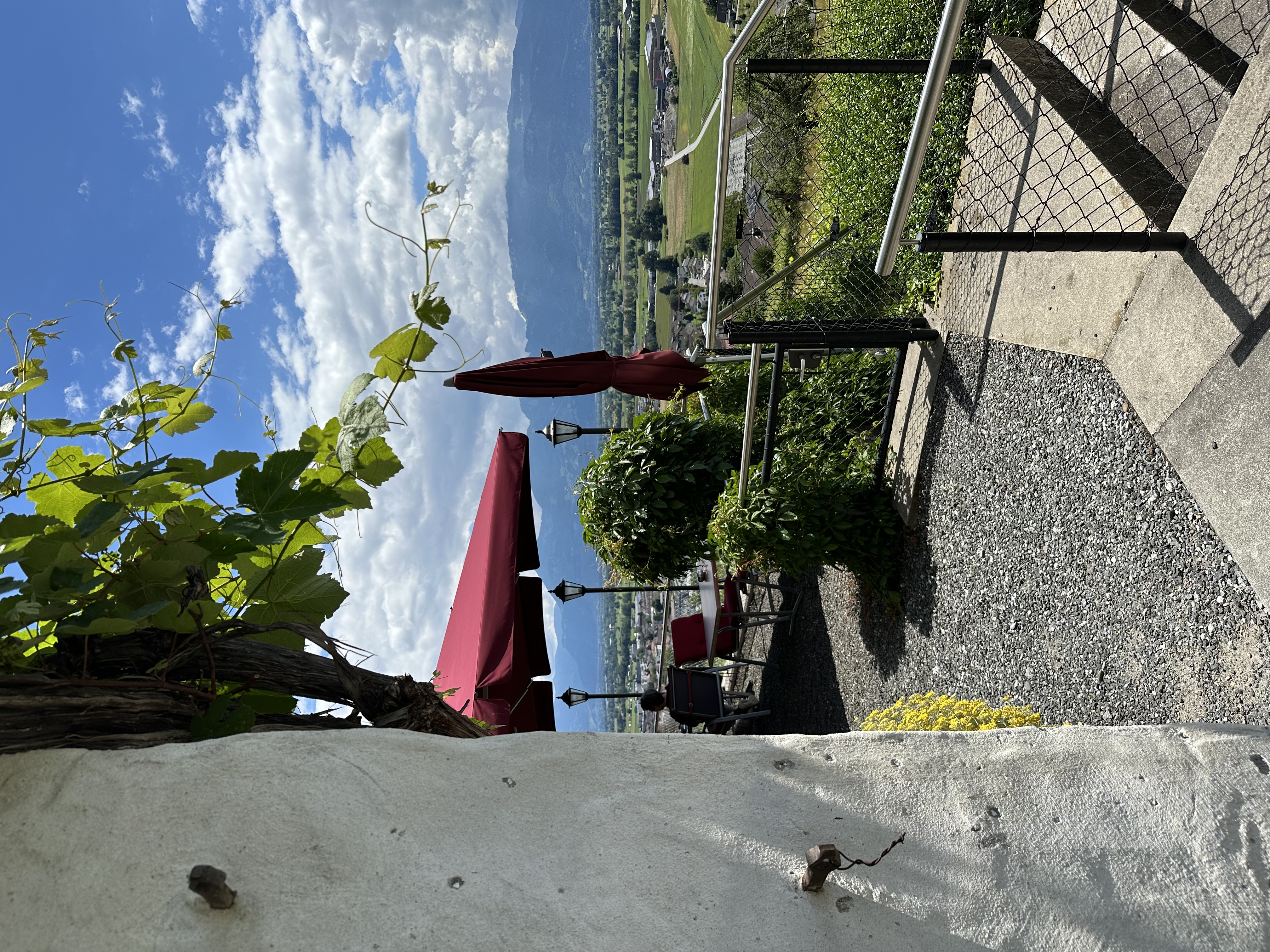 Mariage - Friedrichshafen - Schloss-Terrasse - Schloss Weinstein