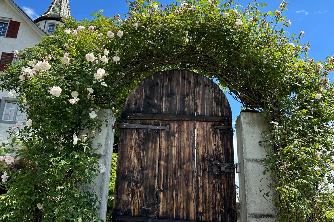 Hochzeitslocation: Schloss-Terrasse - Schloss Weinstein