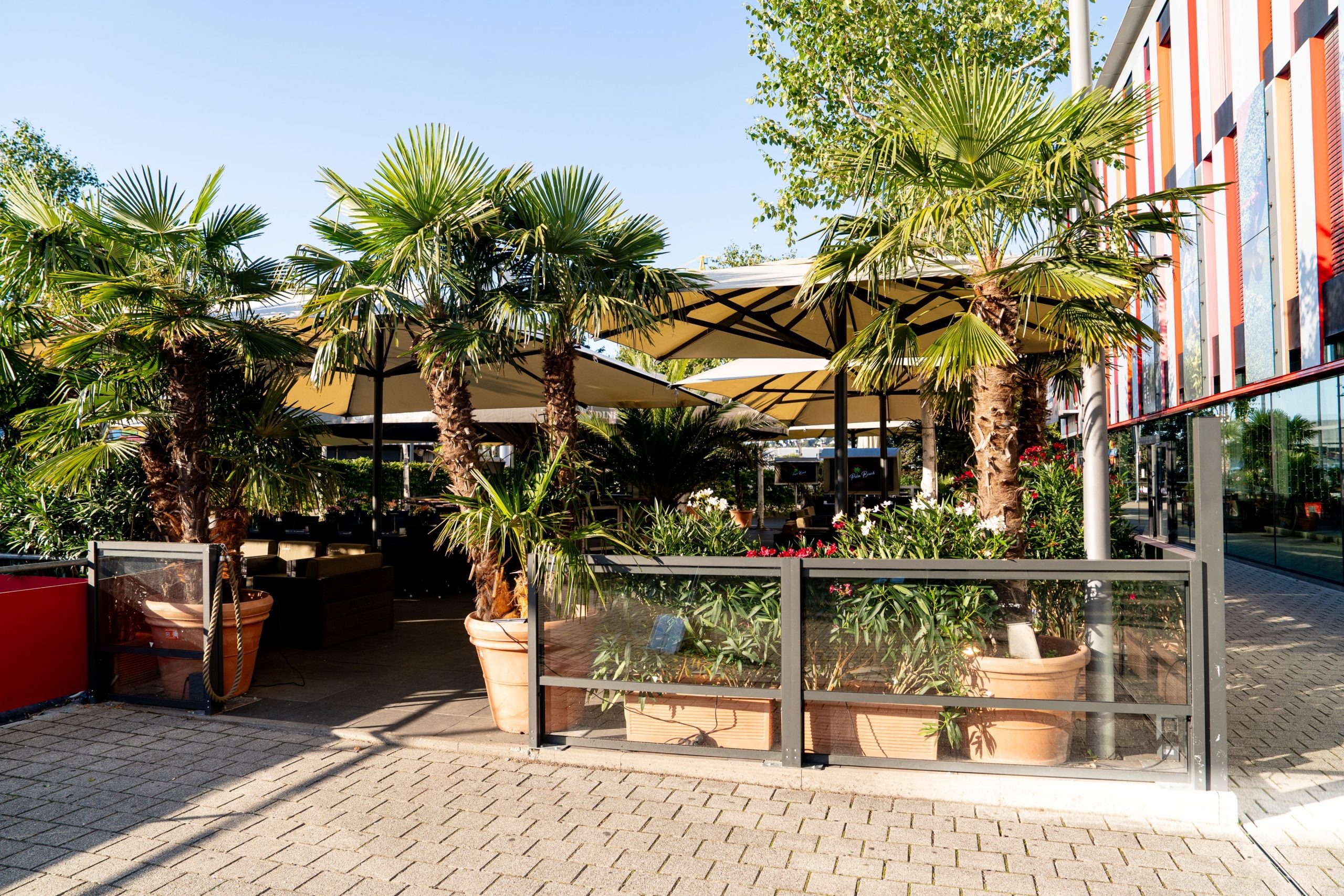 Hochzeit - PLZ 75428 (Deutschland) - Palm Beach Stuttgart