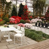 Hochzeitslocation - Der Japangarten - Trauort für standesamtliche Trauungen und freie Zeremonien mit Gesellschaften bis 100 Personen - die neue botanika