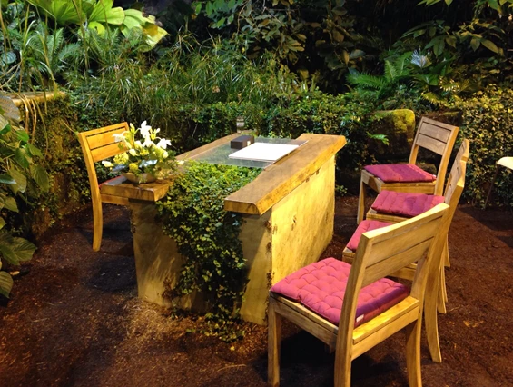 Hochzeitslocation: Unser saisonaler Trauort bei den Schmetterlingen - von Ende Juni bis Mitte Februar können hier im kleinen Kreis (30-40 Personen) Trauungen durchgeführt werden. - die neue botanika