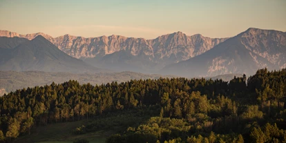 Matrimonio - Guttaring (Guttaring) - Aussicht - Restaurant Leiten am Weingut Karnburg