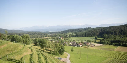 Matrimonio - Guttaring (Guttaring) - Blick auf die Weinberge. - Restaurant Leiten am Weingut Karnburg