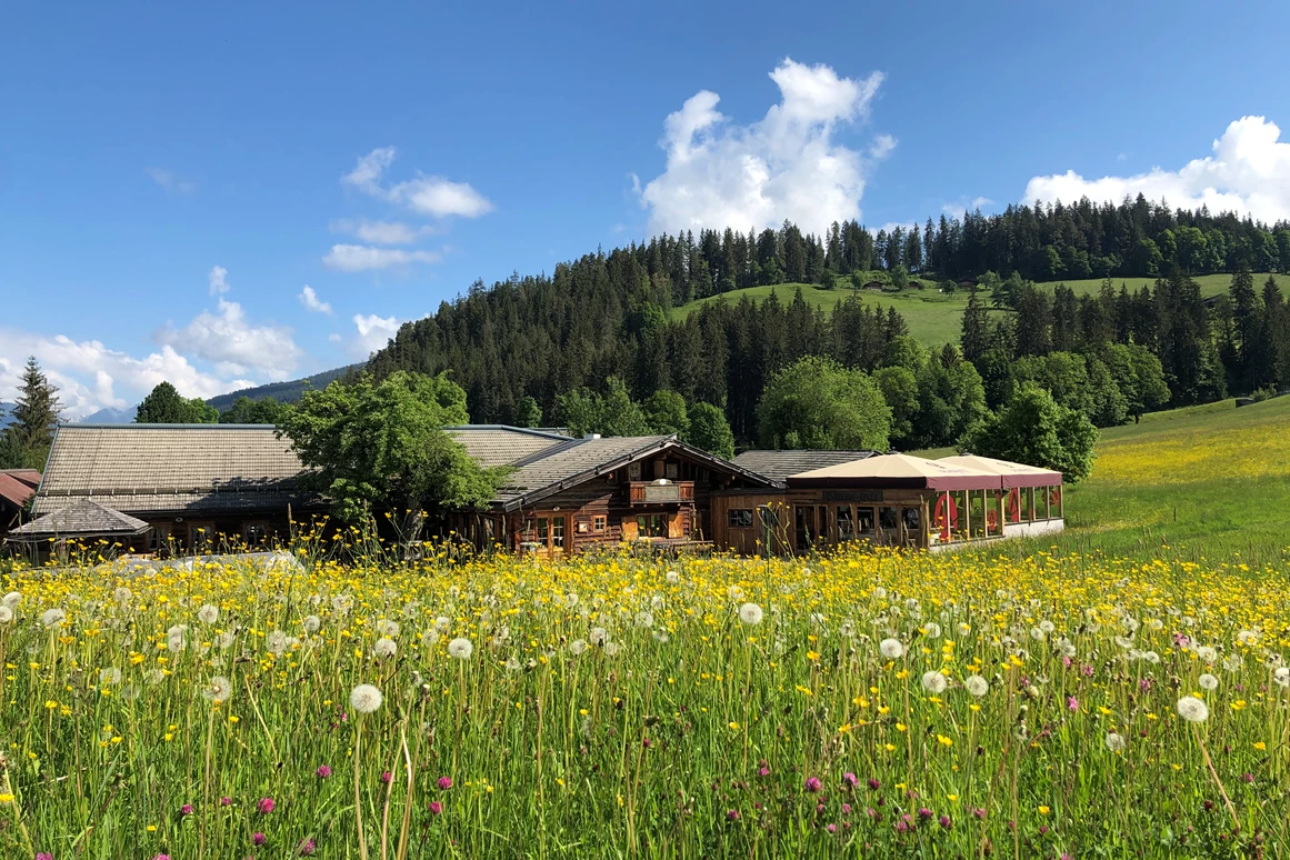 Hochzeitslocation: Heiraten in der Arlhofhütte auf 850 Metern Seehöhe im Salzburger Land. - Arlhofhütte - Altenmarkt