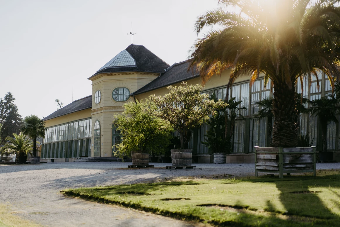 Hochzeit: Orangerie im Schlosspark Eisenstadt