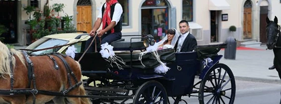 Hochzeitslocation: Eine wunderschöne Kutschfahrt in der Hochzeitskutsche ist bei uns möglich! - Agriturismo Il Moro
