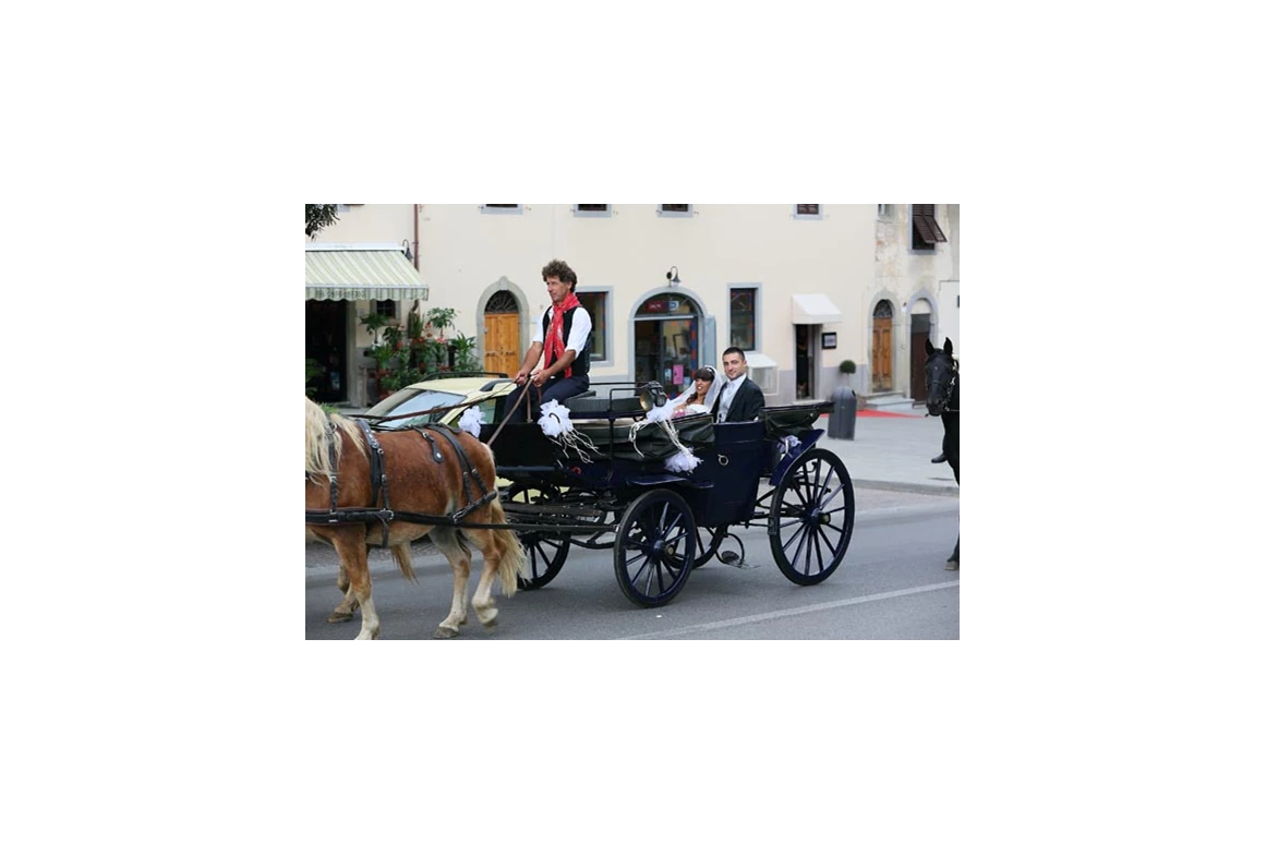 Hochzeitslocation: Eine wunderschöne Kutschfahrt in der Hochzeitskutsche ist bei uns möglich! - Agriturismo Il Moro