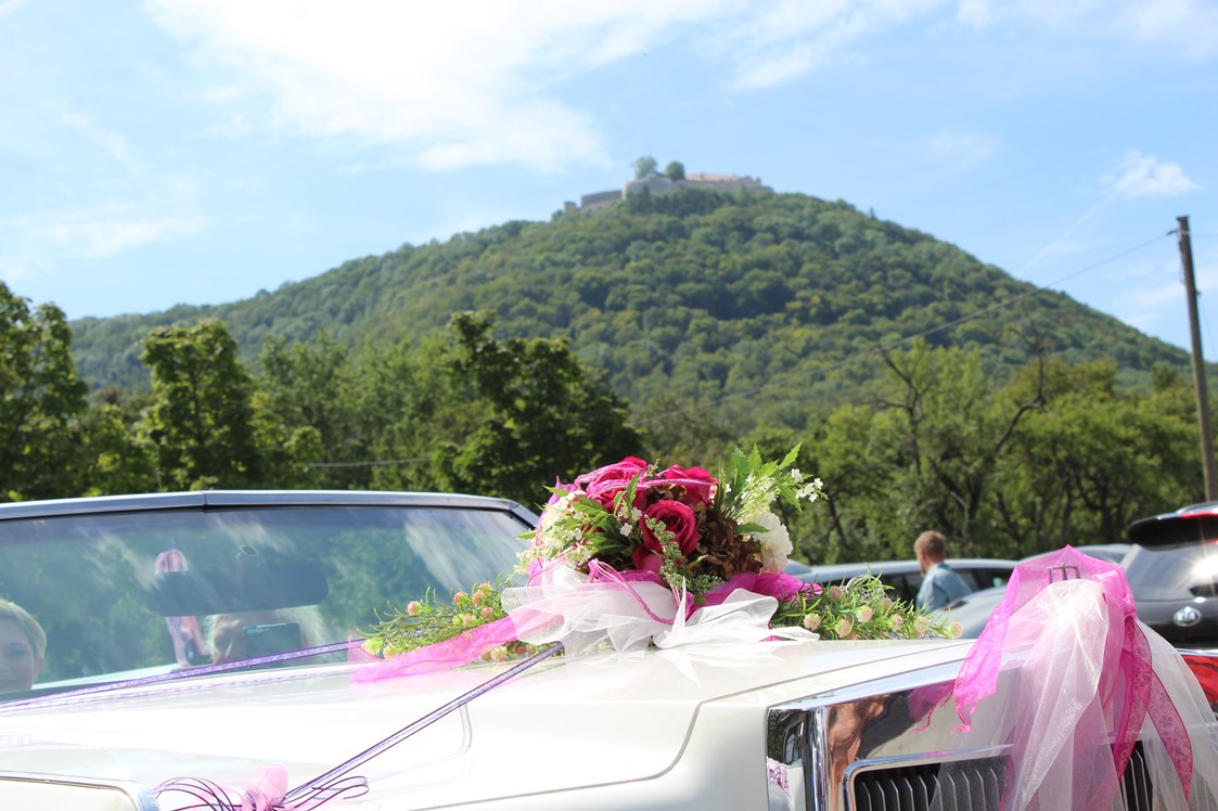 Hochzeit: Unser Hochzeits auto gehört dazu .
Ein Licon Cadilac Cabrio mit Braut schmuck   - Schlosscafe Location & Konditorei / Restaurant