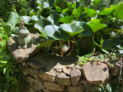Matrimonio - Flonheim - Brunnen - Felsenmühle Neuleiningen