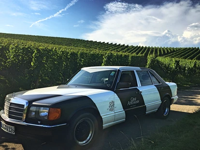 Hochzeit - Geeignet für: Private Feier (Taufe, Erstkommunion,...) - Leonberg (Böblingen) - Burg Schaubeck - Weingut Graf Adelmann Mercedes im Weinberg - Burg Schaubeck - Weingut Graf Adelmann