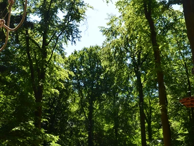 Hochzeitslocation: Waldgut Vordereifel