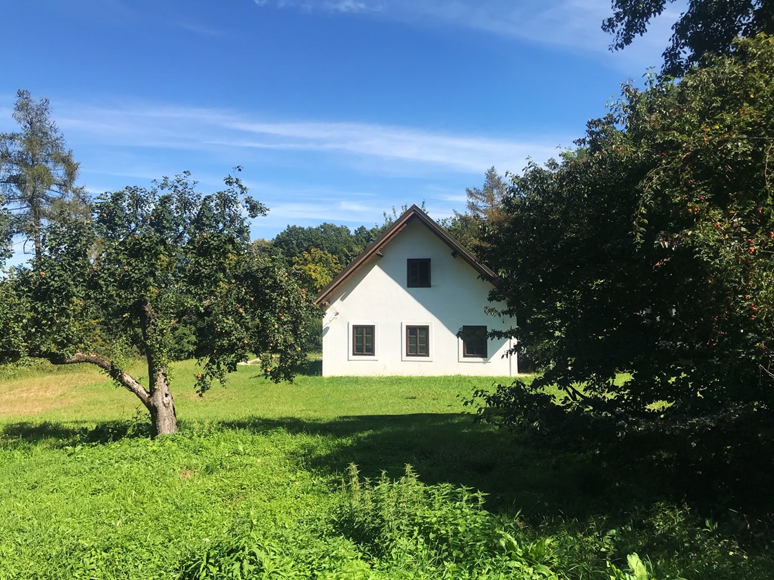 Hochzeit: Südburgenländisches Bauernhaus mit Scheune in absoluter Alleinlage neu revitalisiert