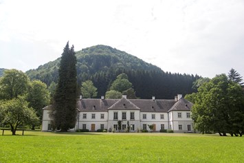 Hochzeit: Das Schloss Ginselberg als TOP Hochzeitslocation in Niederösterreich. - Schloss Ginselberg