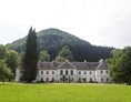 Hochzeit: Das Schloss Ginselberg als TOP Hochzeitslocation in Niederösterreich. - Schloss Ginselberg