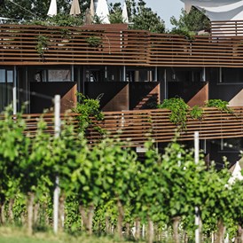 Hochzeit: Hotel von außen - Weingartenhotel Harkamp