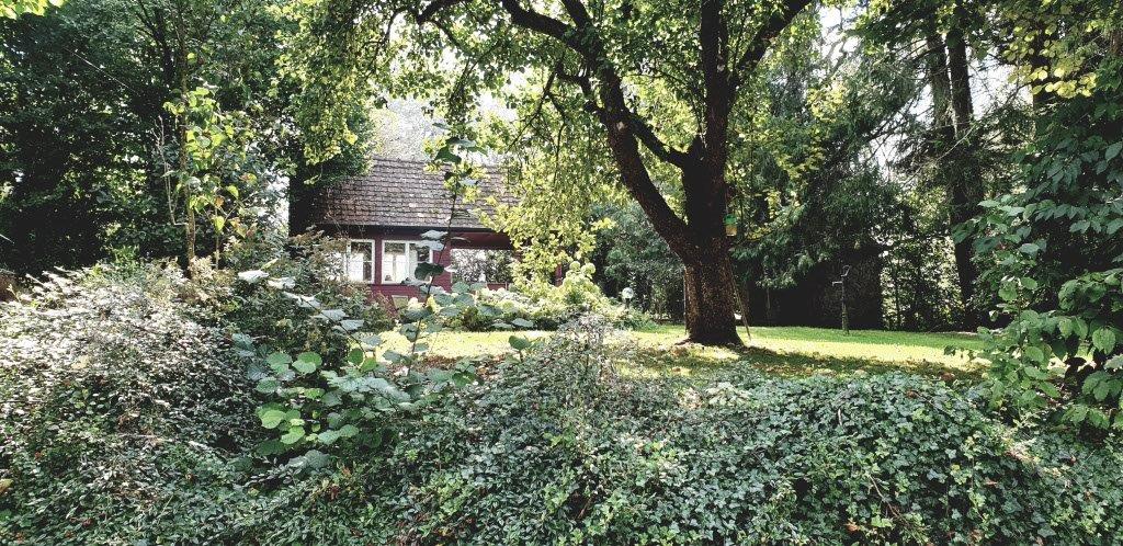 Hochzeit: Ailinger Mühle 