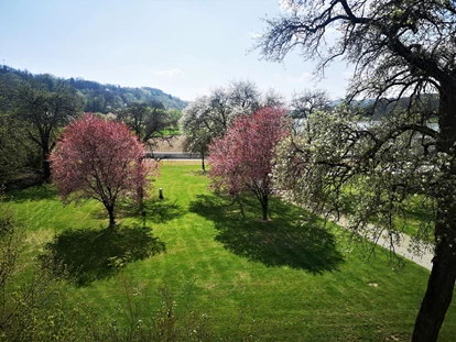 Wedding - Pottenbrunn - Alter Baumbestand  - Lodge Szilagyi