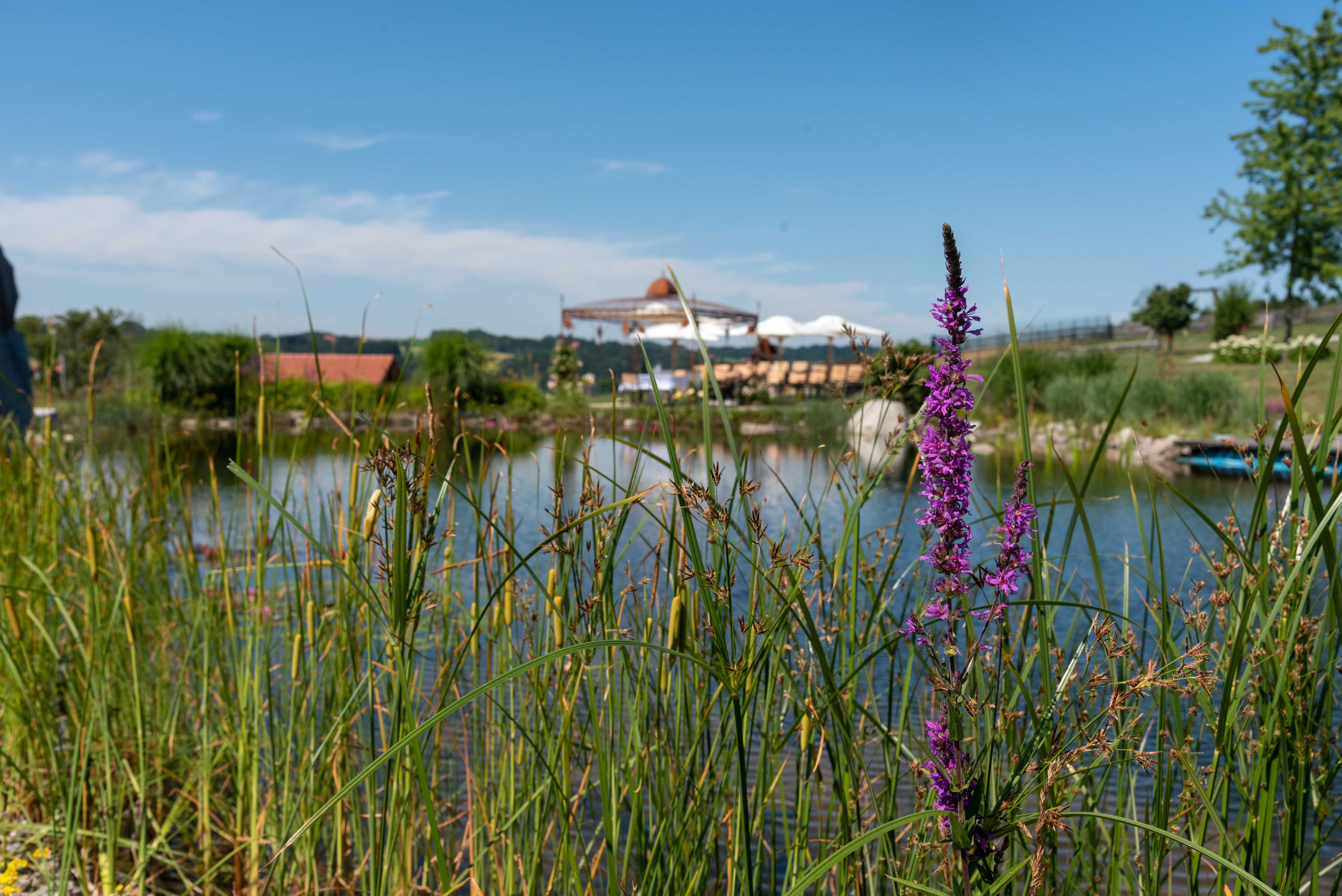 Hochzeitslocation: Der Hochzeitspavillon am See. - Hoamat - Essen Feiern Schlafen