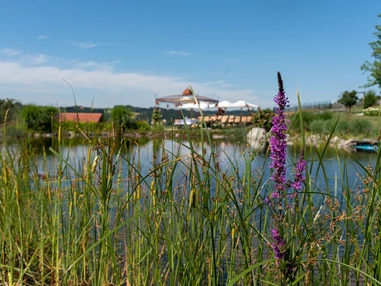 Hochzeitslocation: Der Hochzeitspavillon am See. - Hoamat - Essen Feiern Schlafen
