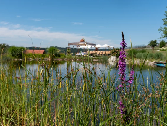 Hochzeitslocation: Der Hochzeitspavillon am See. - Hoamat - Essen Feiern Schlafen