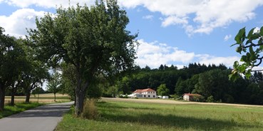 Hochzeit - Haßmersheim - Villa Katzenbuckel