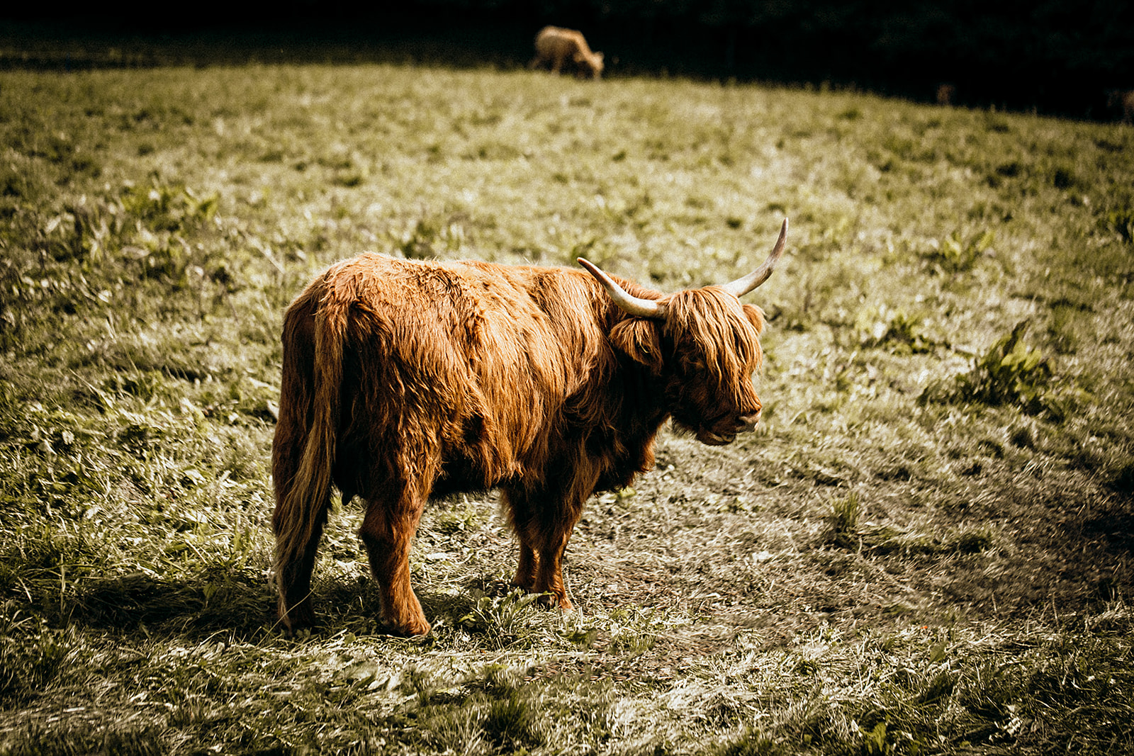 Hochzeitslocation: Bogner Aste 