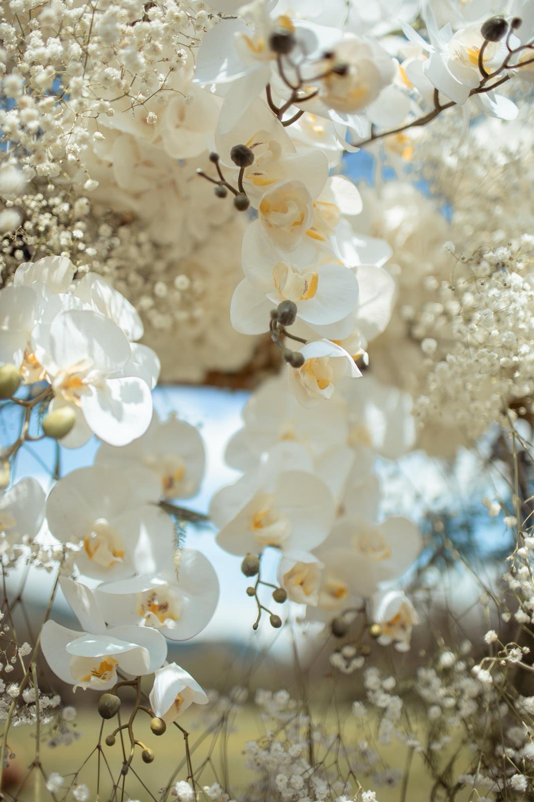Hochzeit: Bogner Aste 