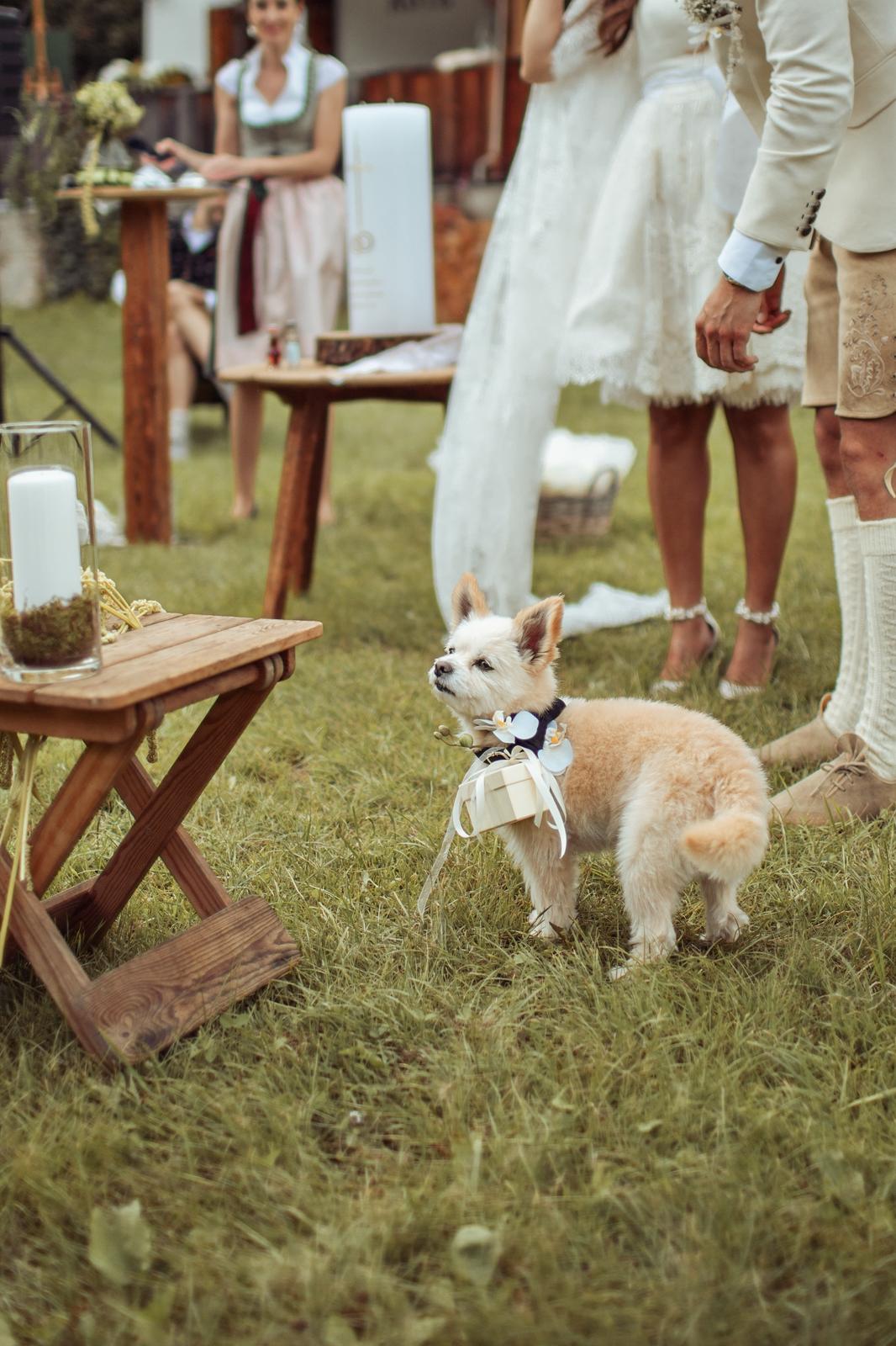 Hochzeit: Bogner Aste 