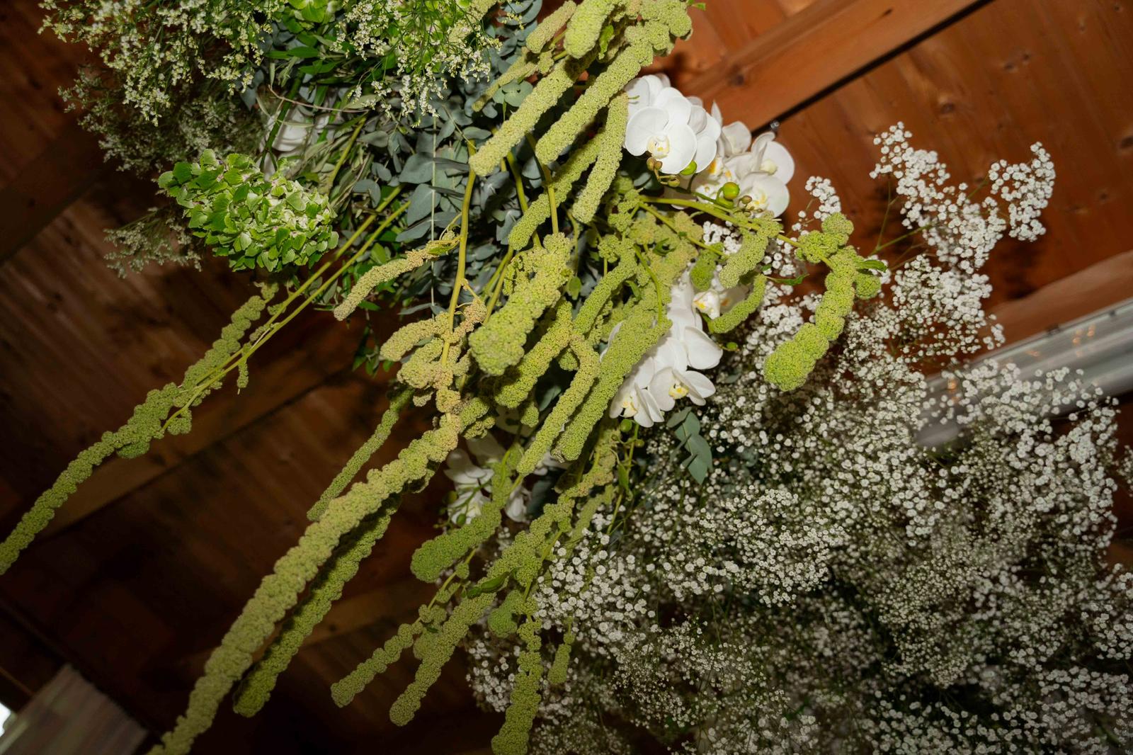 Hochzeit: Bogner Aste 