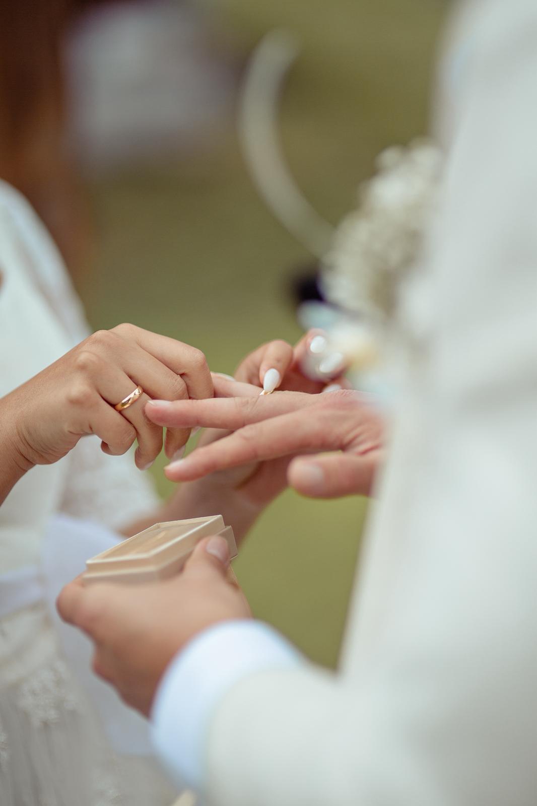 Hochzeit: Bogner Aste 