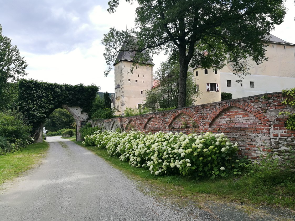 Hochzeit: Burg Feistritz - Burg Feistritz