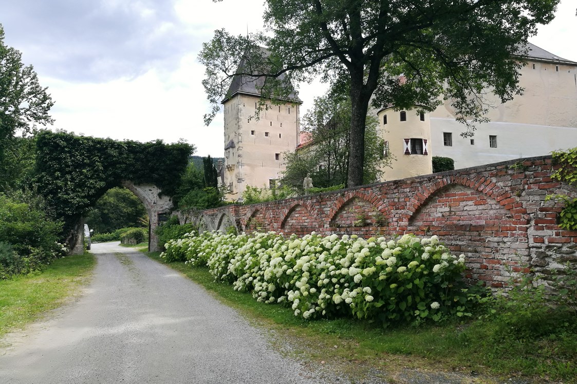 Hochzeit: Burg Feistritz - Burg Feistritz