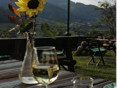 Hochzeit: Terrasse - Hotel Burg Oberranna