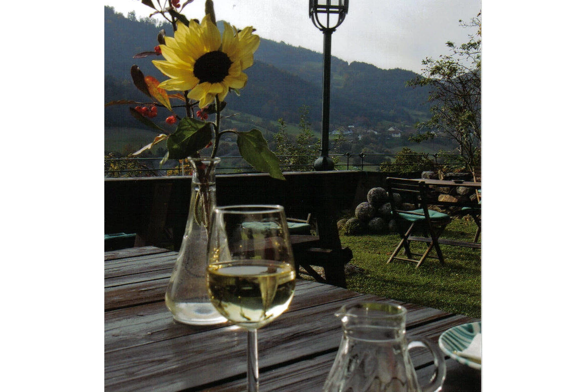Hochzeit: Terrasse - Hotel Burg Oberranna