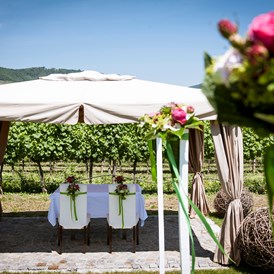 Hochzeit: Eine Standesamtliche Trauung im Weingarten des Weingut Holzapfel Prandtauerhof in Niederösterreich. - Weingut Holzapfel Prandtauerhof