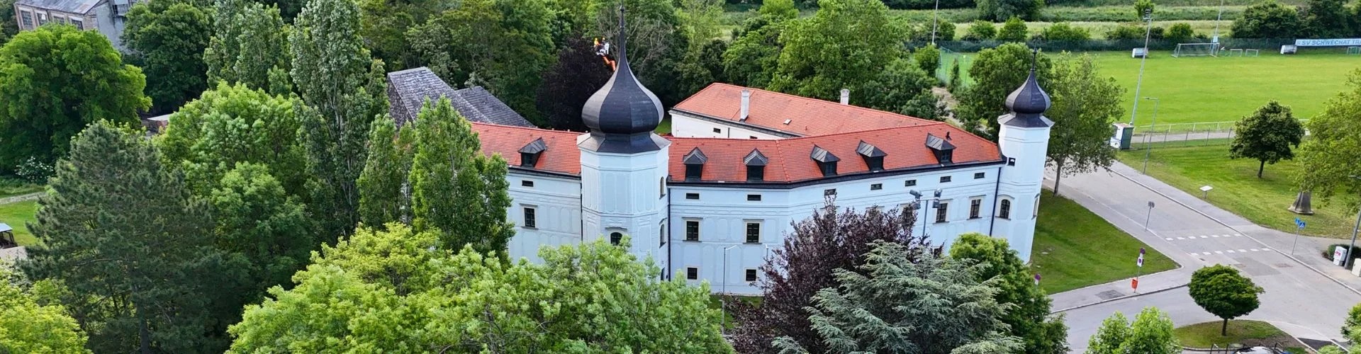 Wedding - Bad Vöslau -     Romantische Schlosshochzeit in der Rothmühle Schwechat - Schloss Rothmühle in Schwechat