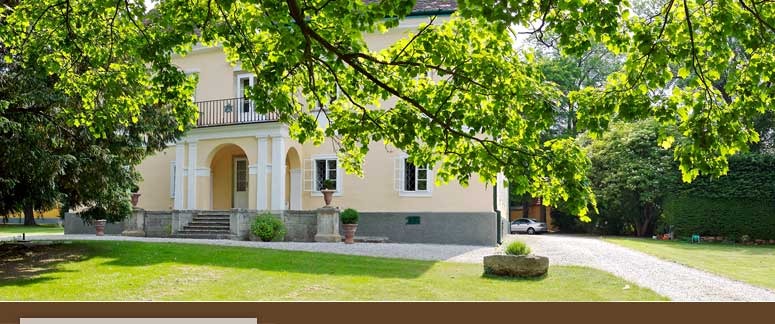 Wedding - Bad Vöslau - Schloss Urschendorf