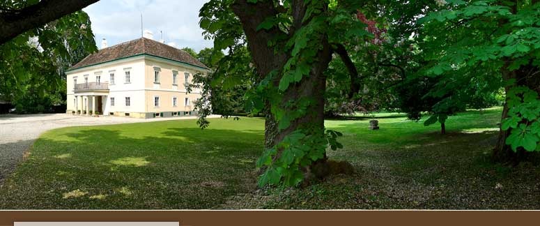 Wedding - Bad Vöslau - Traumhafte Hochzeitslocation nahe Wien mit historischem Flair - Schloss Urschendorf