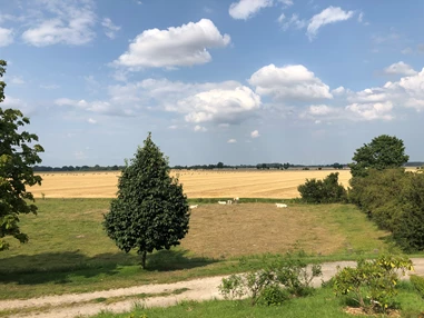 Hochzeitslocation: Blick in die Kollmarer Marsch - Boutique Hotel Gut Bielenberg