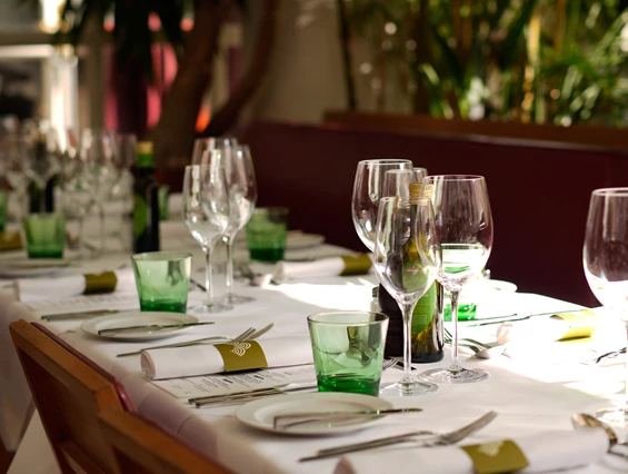 Hochzeit: Palmenhaus - Cafe Brasserie Bar