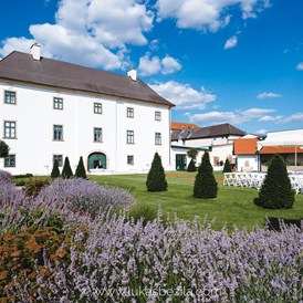 Hochzeit: Das Schloss Raggendorf in 2215 Raggendorf. - Schloss Raggendorf