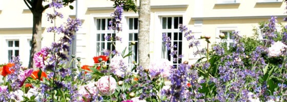 Hochzeit - Fischland - Gutshaus Landsdporf