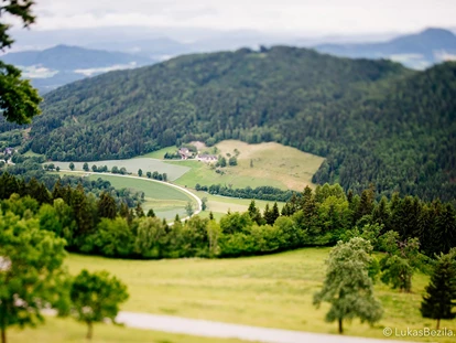 Hochzeit - PLZ 9155 (Österreich) - Blick auf das Klagenfurter Becken - Gipfelhaus Magdalensberg