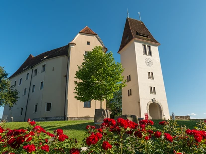 Matrimonio - Stainz bei Straden - Hotel SCHLOSS SEGGAU - Schlosshof - Hotel SCHLOSS SEGGAU