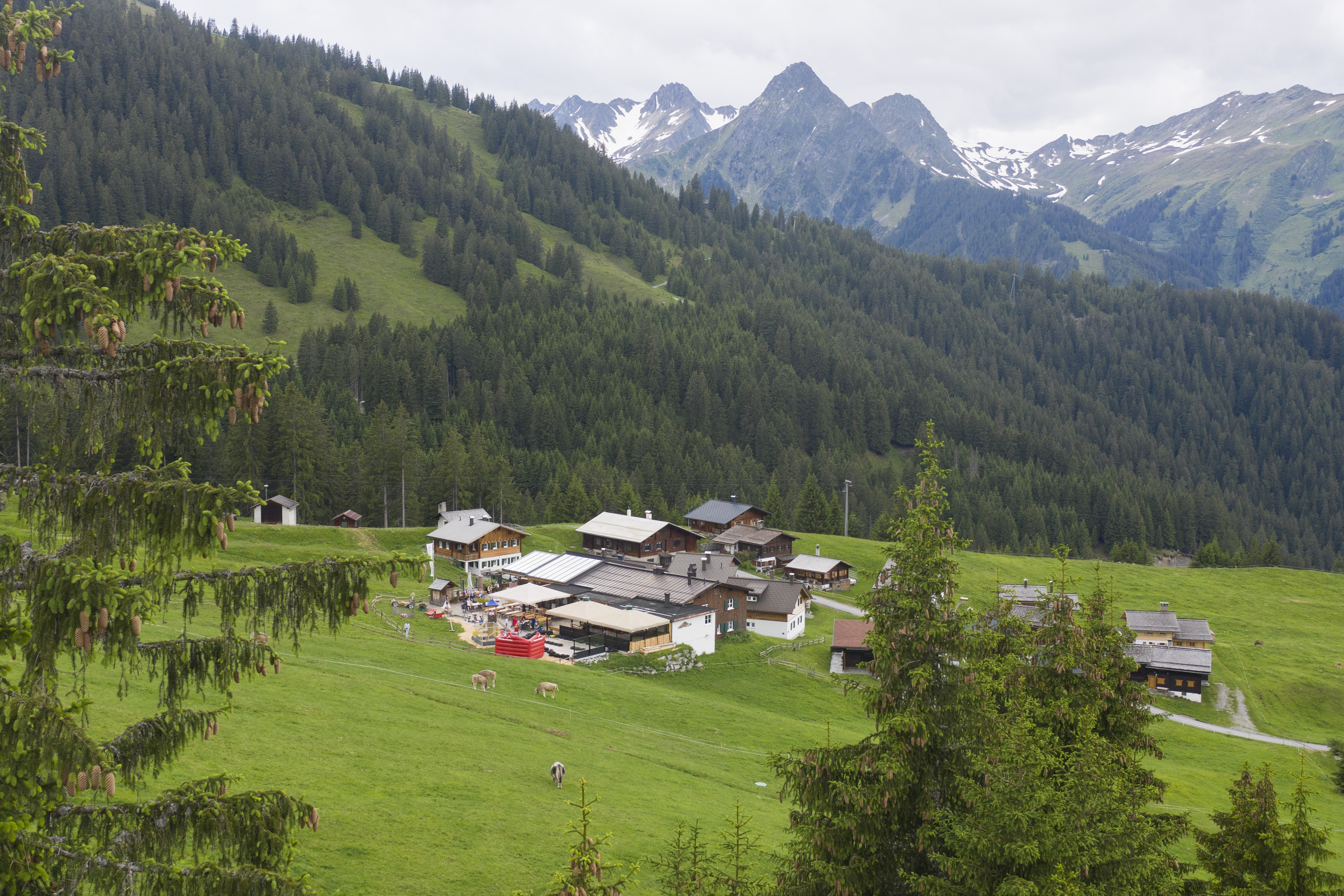 Hochzeit: Brunellawirt