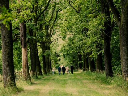 Mariage - Nuthe-Urstromtal - Eichenallee - Weg zur Schlosskirche - Schloss Stülpe