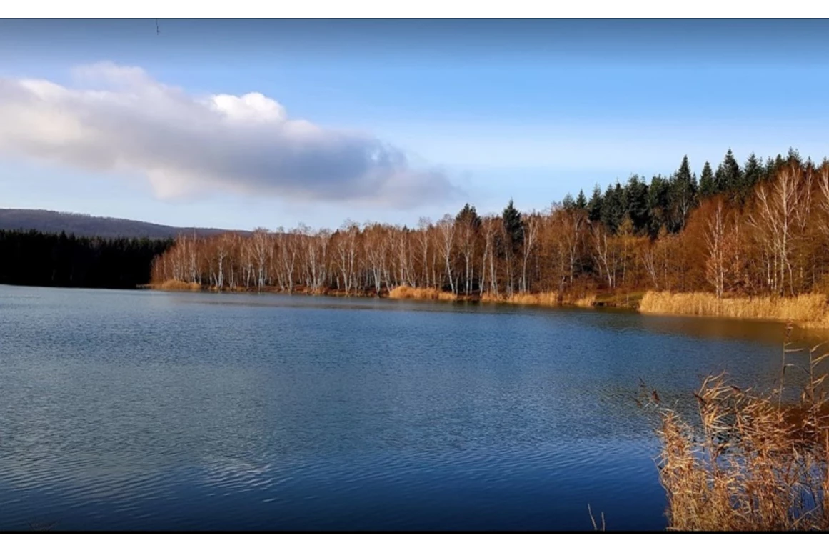 Hochzeitslocation: Herbstbild - Verwunschener See südlich von Hannover-Nähe Marienburg