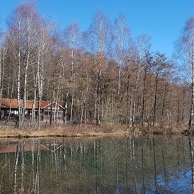 Hochzeit: Bruchsee - Verwunschener See südlich von Hannover-Nähe Marienburg 