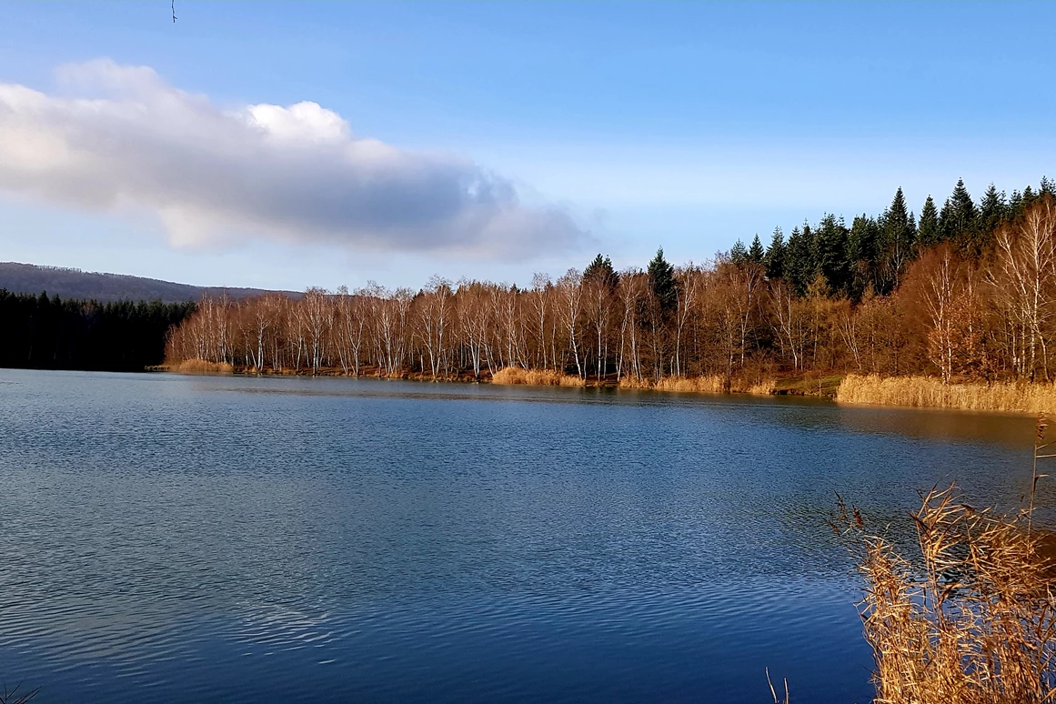 Hochzeitslocation: Verwunschener See südlich von Hannover-Nähe Marienburg