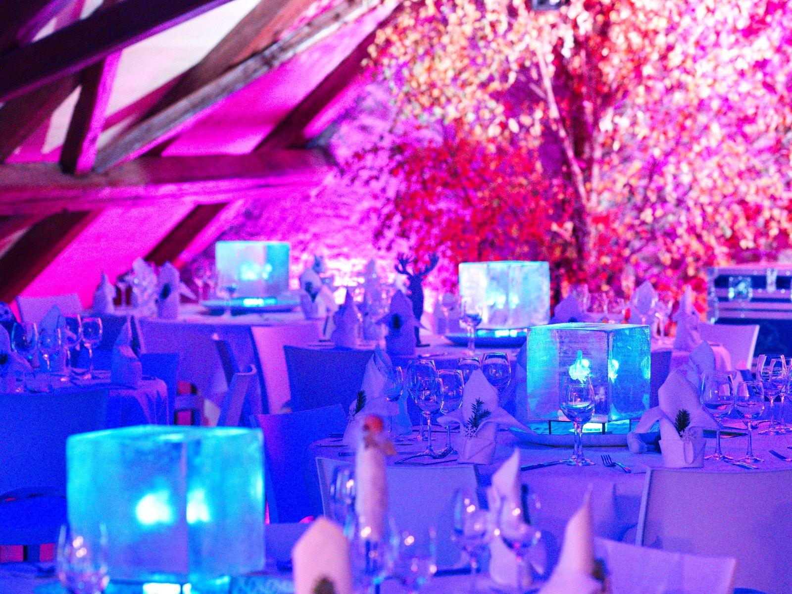 Wedding - Switzerland - Wintizauber Dinnerspektakel jährlich wiederkehrend - ROTE TROTTE Winterthur